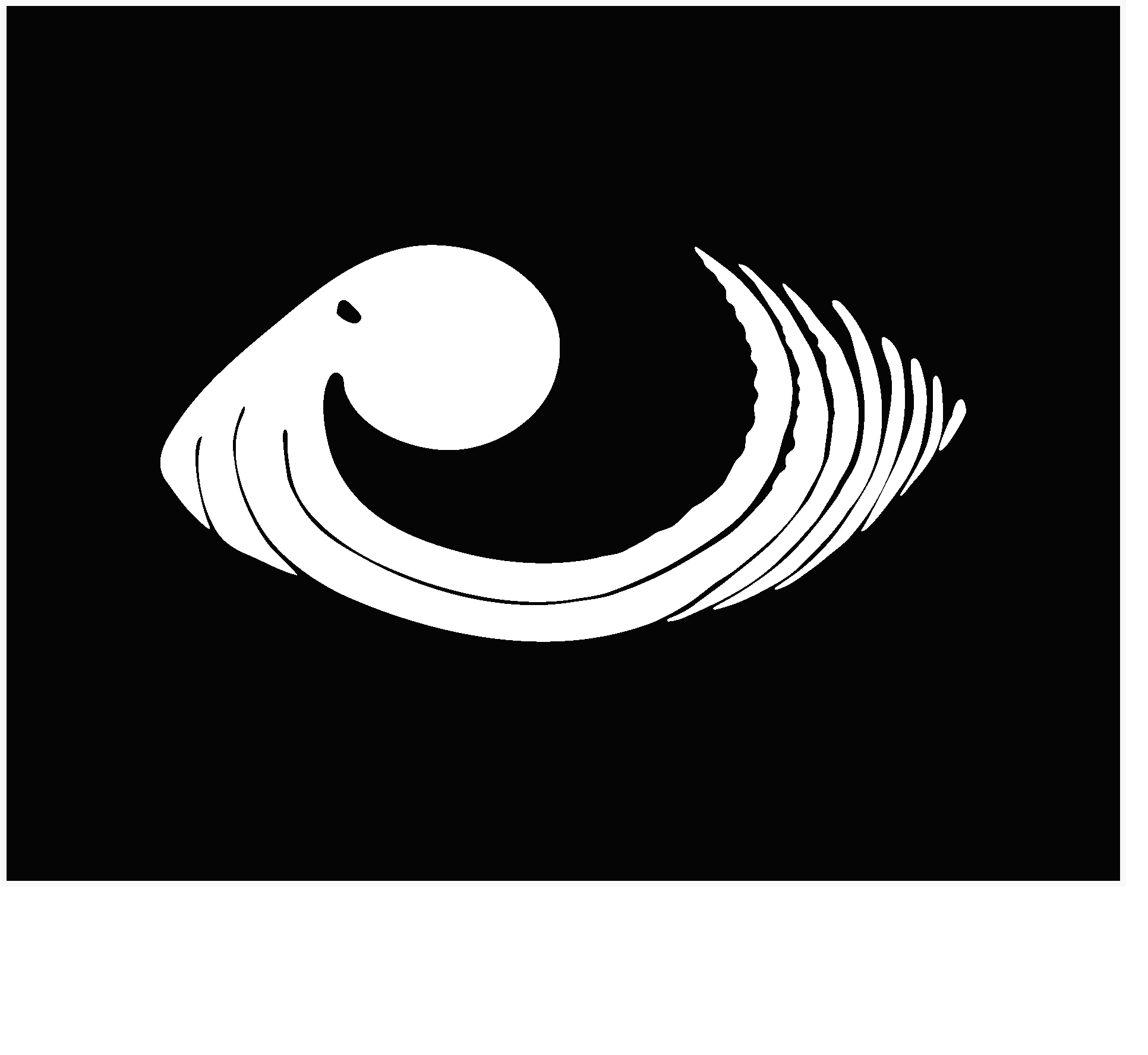 Blind Octopus Studios